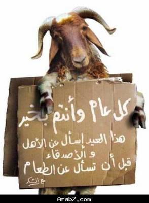  mes ami(e)s �� ��� ����� ���� ���